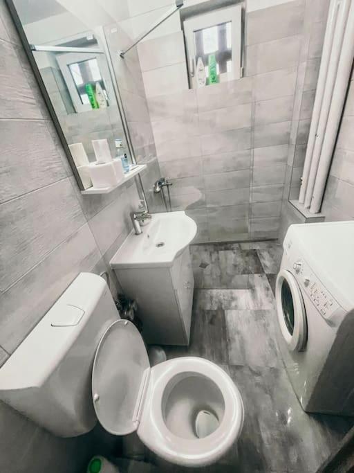 Ultracentral Big Flat Near The Opera Square P17 Timisoara Exterior foto